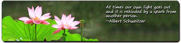 st louis missouri counseling