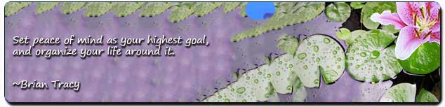 st louis, st charles, wentzville, ofallon, lake st. louis. midwest, counseling